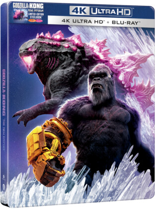 Godzilla x Kong