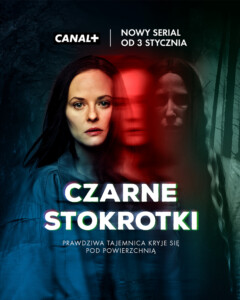 Czarne Stokrotki